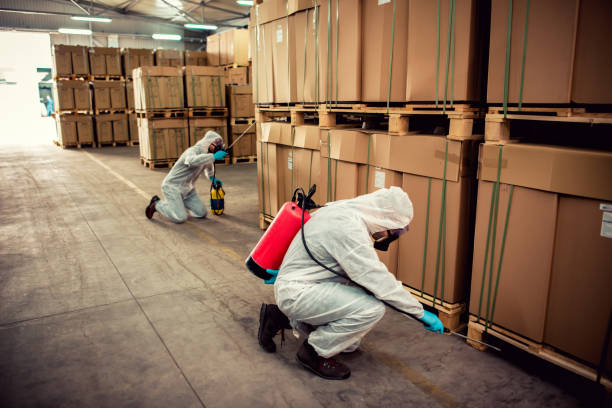 Best Best Pest Control Companies  in Grove, OK