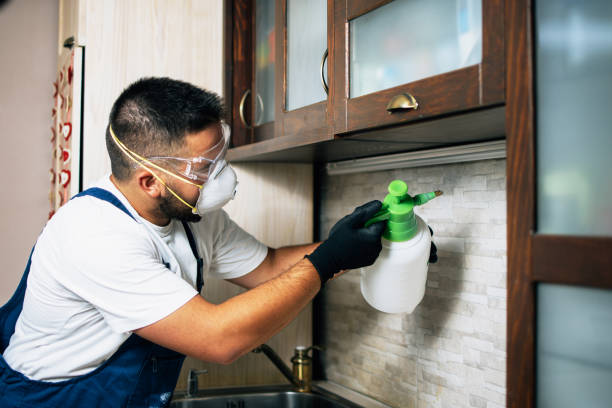 Flea Control Services in Grove, OK