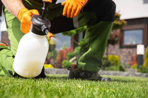 Best Pest Removal Services  in Grove, OK