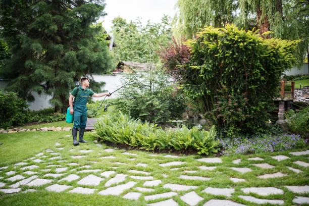 Best Wildlife Control Services  in Grove, OK