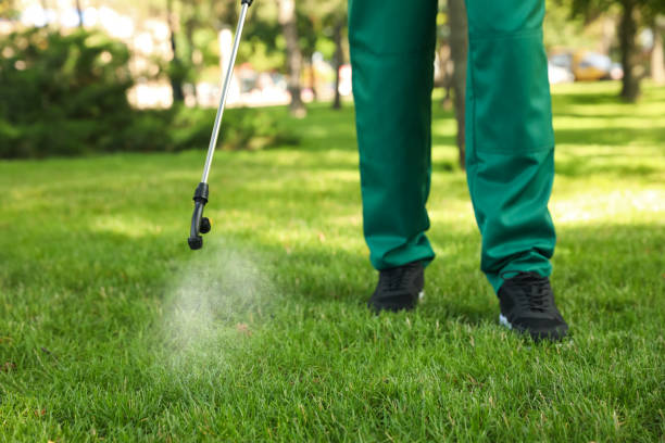 Best Bed Bug Extermination  in Grove, OK