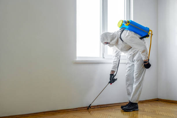 Best Wasp Removal Services  in Grove, OK