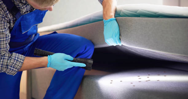 Best Mosquito Control Services  in Grove, OK