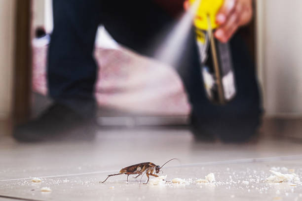 Best Pest Inspection Near Me  in Grove, OK