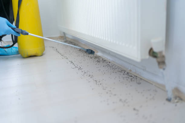 Best Exterminator Services  in Grove, OK