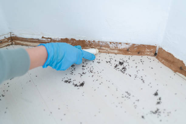 Best Commercial Pest Control Services  in Grove, OK