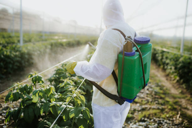 Best Commercial Pest Control Services  in Grove, OK